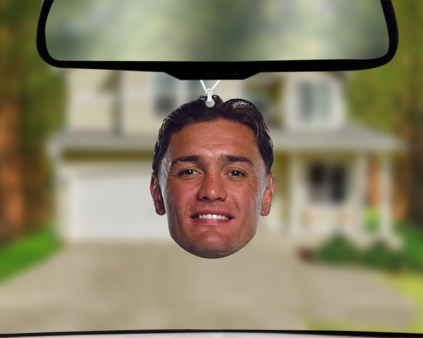 Big Head - Danny Levi Car Air Freshener