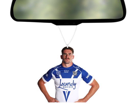 2026 Team Photo - Harry Hayes Car Air Freshener