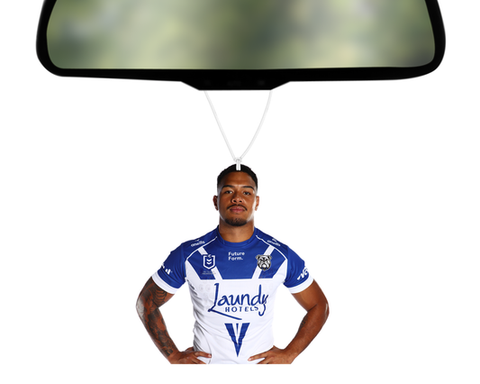 2026 Team Photo - Lipoi Hopoi Car Air Freshener