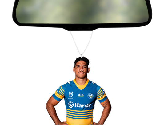 2026 Team Photo - Brian Kelly Air Freshener