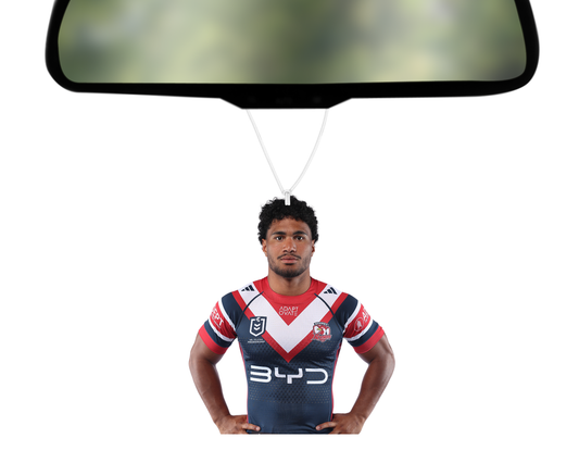 2026 Team Photo - Robert Toia Air Freshener