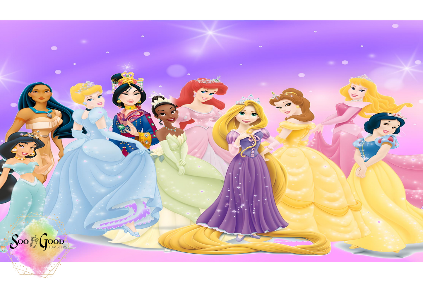 All The Princesses Sippy Cup / Kids Bottle