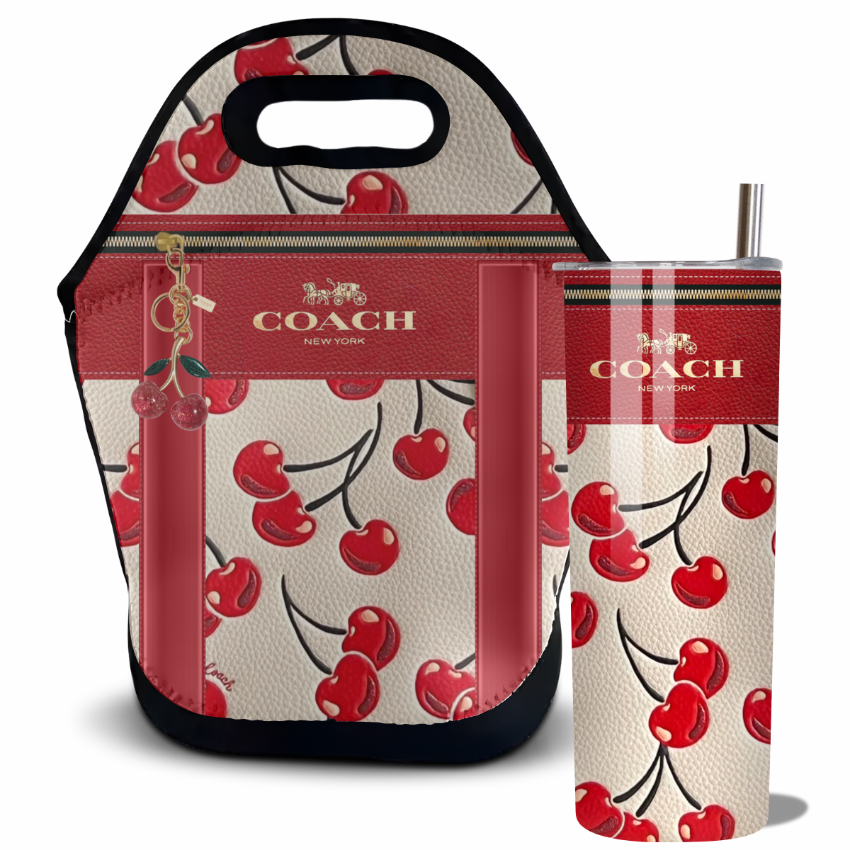 Coach Inspired Lunch Tote Bag (161)