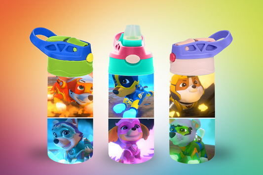 Paw Patrol Color Sippy Cup / Kids Bottle