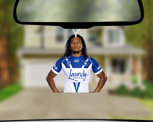 Team Photo - Sitili Tupouniua Car Air Freshener